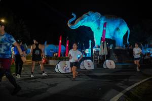 BIB: 
                            <button type="button" onclick="openModal(26552013)" class="btn btn-primary btn-sm float-right btn-popup" data-toggle="modal" data-target=".modal-high-quality">
                        <i class="fas fa-shopping-cart"></i> Add to Cart
                    </button>
                                            <button type="button" onclick="isThisMe(26552013, true)" class="btn btn-success btn-sm float-right btn-popup btn-isme hidden" data-toggle="tooltip" data-placement="bottom" title="นี่คือรูปของคุณใช่ไหม คลิกที่นี่เพื่อเอาเข้าอัลบั้ม">
                        <i class="fas fa-plus"></i> Add to album
                    </button>
                    <button type="button" onclick="isThisMe(26552013, false)" class="btn btn-warning btn-sm float-right btn-popup btn-isnotme hidden">
                        <i class="fas fa-ban"></i> Remove from album
                    </button>